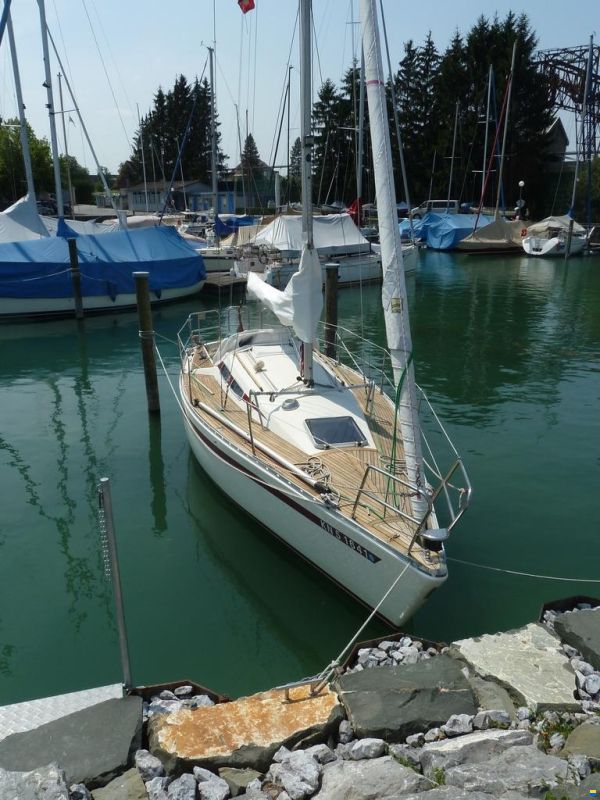 Aphrodite 29