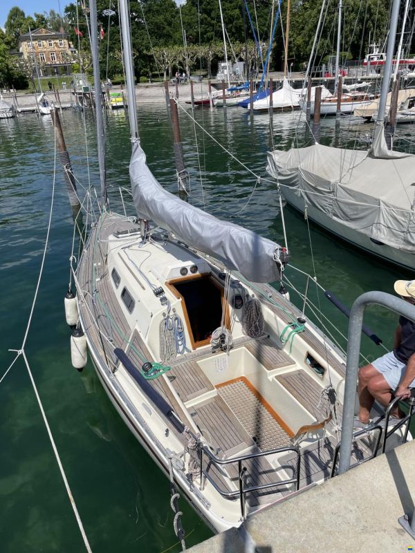 Aphrodite 29