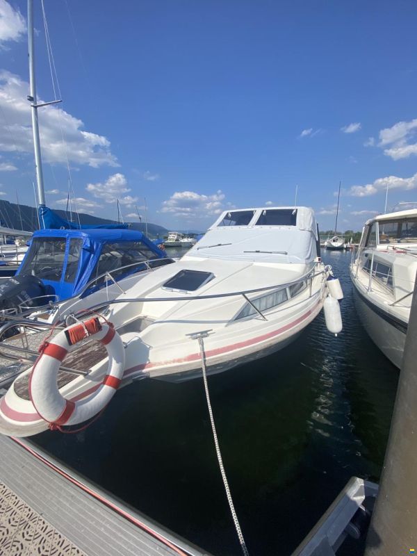 Polar 290 Monaco