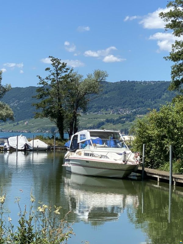 Polar 290 Monaco