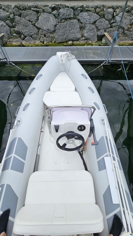 Brig Falcon 450