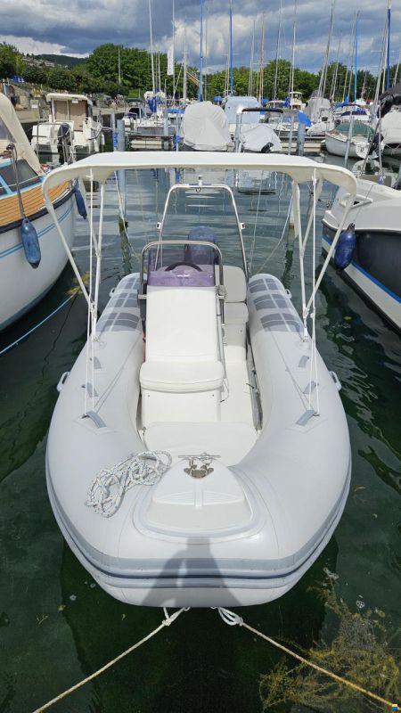 Brig Falcon 450