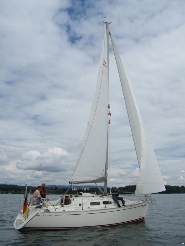 Delphia 29