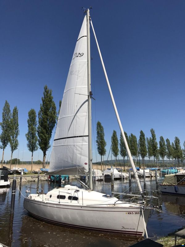 Delphia 29