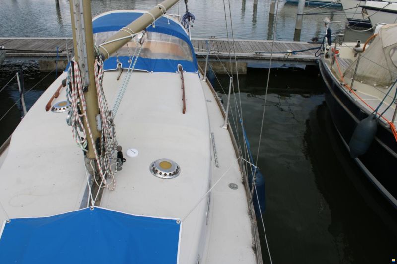 Great Dane GD 28