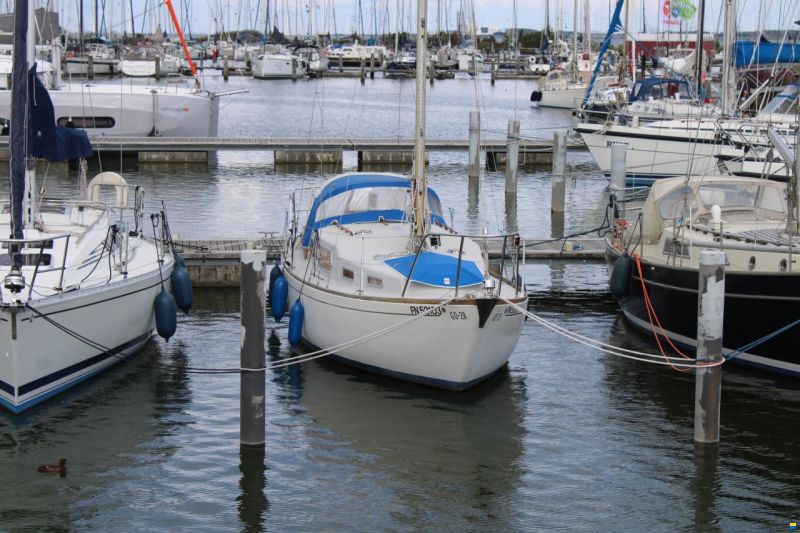 Great Dane GD 28