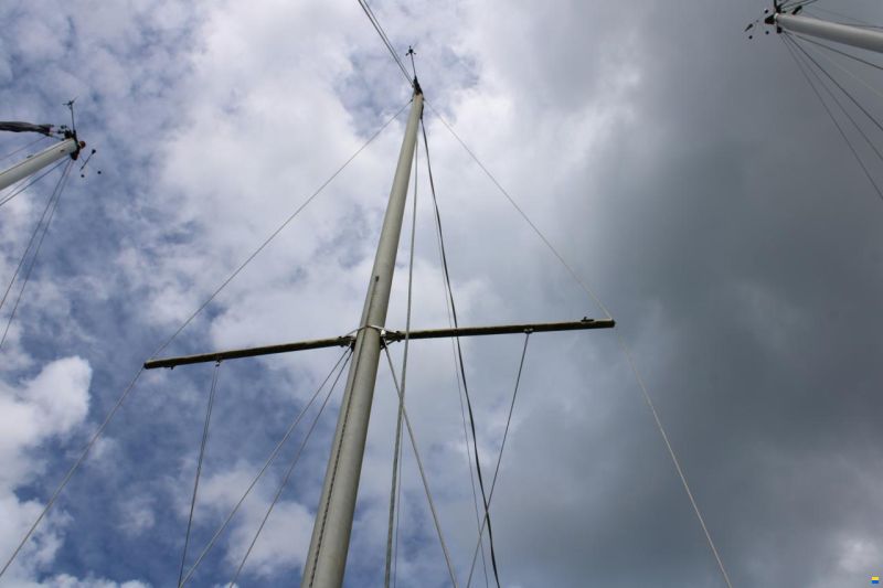 Great Dane GD 28