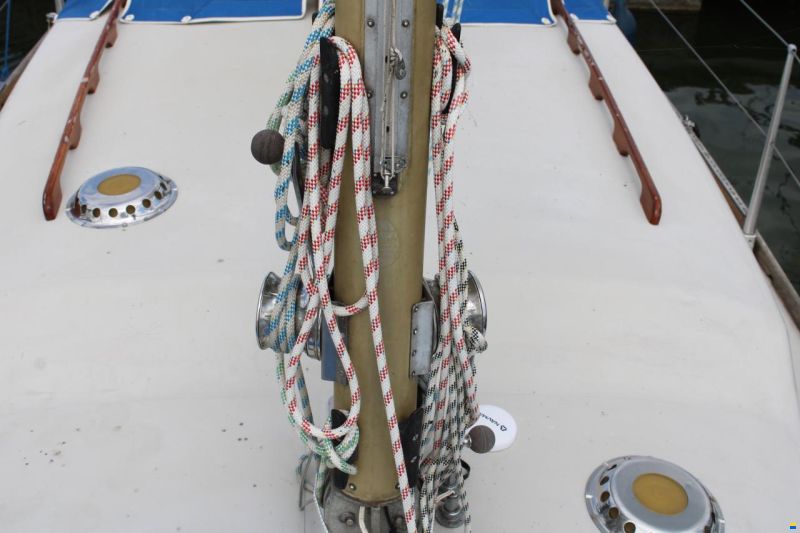 Great Dane GD 28