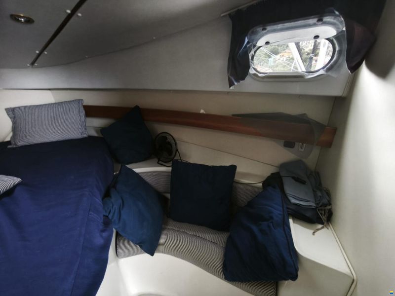 Nautica Po Sea world 31
