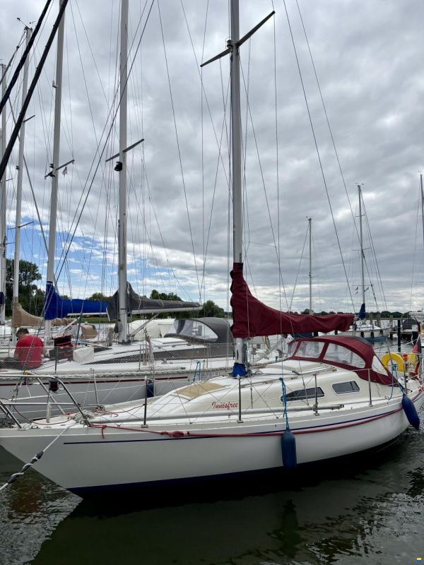1977 Albin Marine Albin Ballad zu verkaufen
