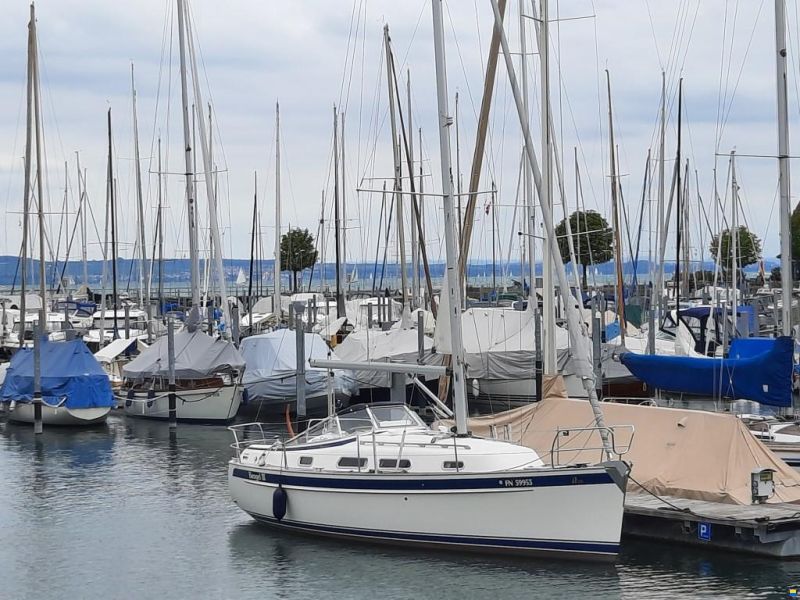 Hallberg-Rassy 310
