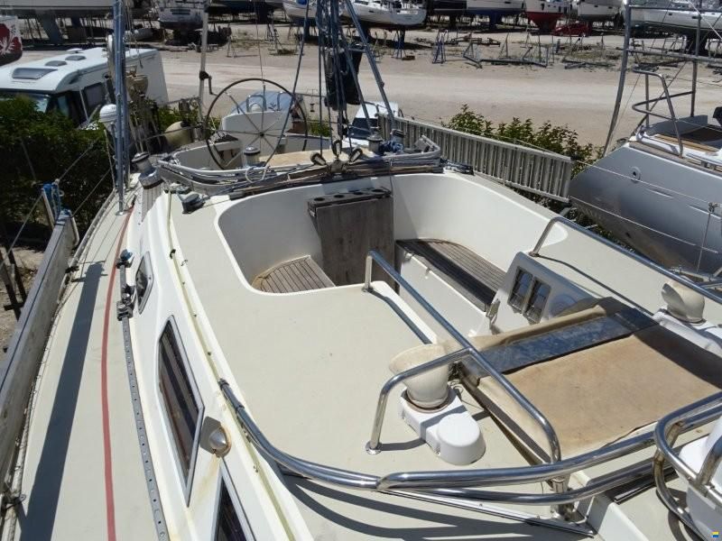 Fabola Diva 451