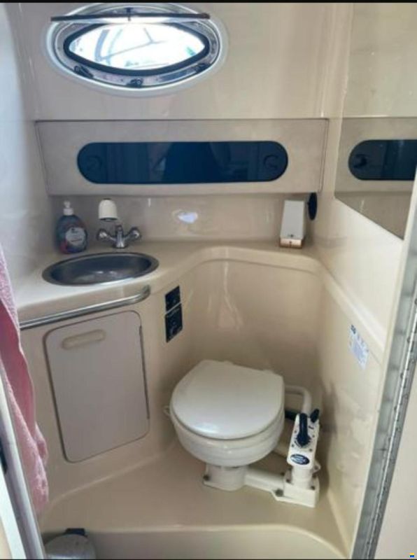 Sea Ray 290 Sundancer