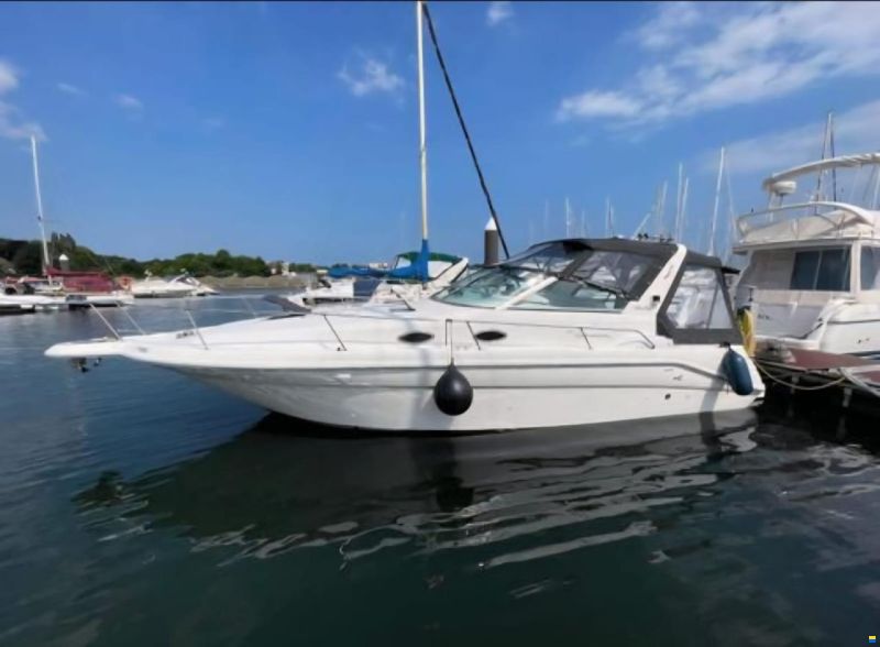 Sea Ray 290 Sundancer