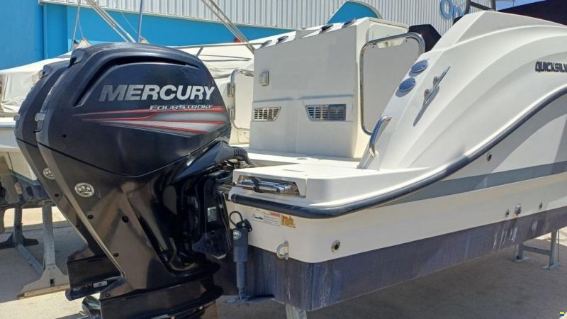 Quicksilver Activ 805 Pro Fish