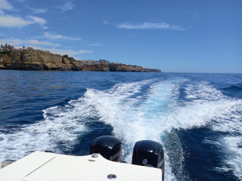 Quicksilver Activ 805 Pro Fish