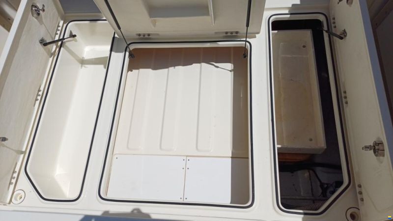 Quicksilver Activ 805 Pro Fish