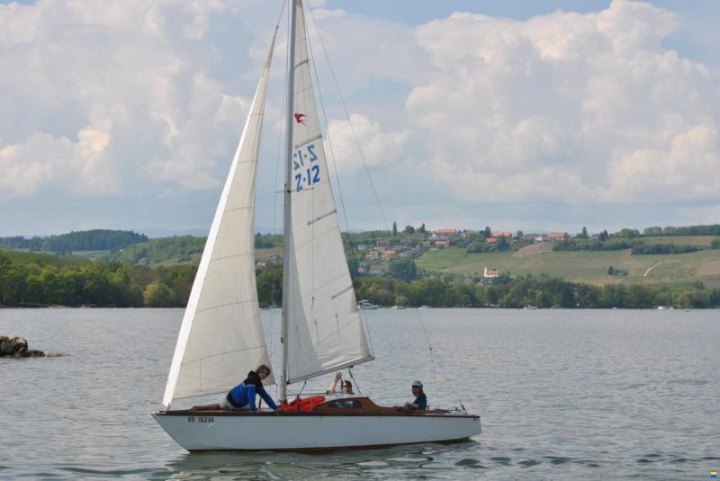 Hofmann CH Schwalbe MC20