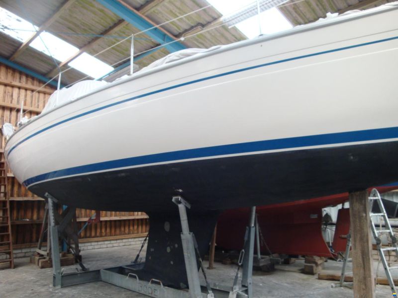 Bavaria 37
