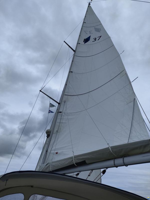Bavaria 37
