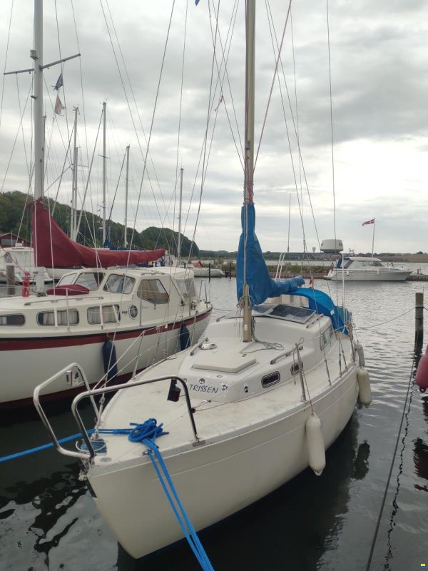 Albin Vega 27