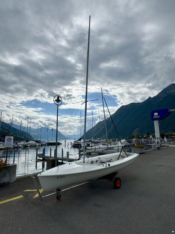 Devoti 470er
