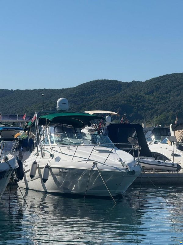 Rinker Fiesta Fee 266