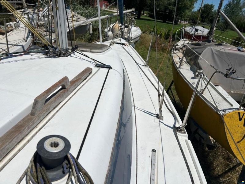 Dullia 25 Furia