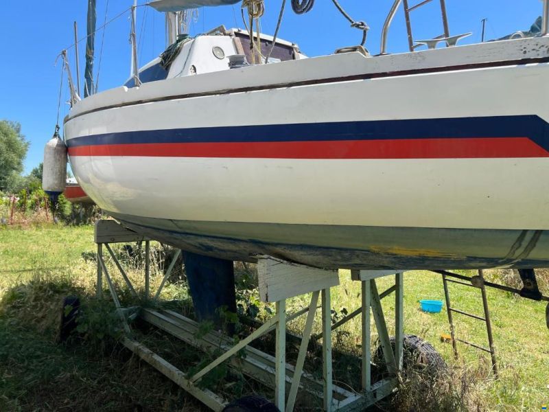 Dullia 25 Furia