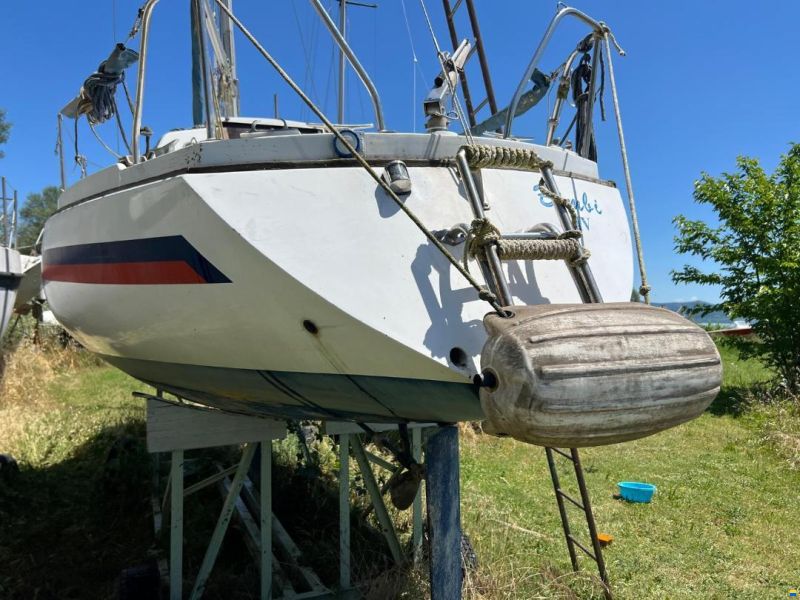 Dullia 25 Furia
