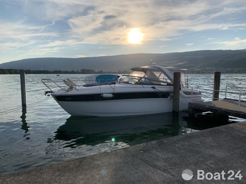 Bavaria Sport 35
