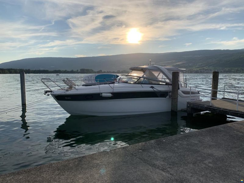 Bavaria Sport 35
