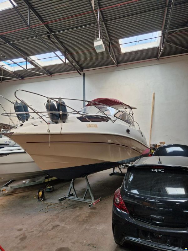 Quicksilver 890