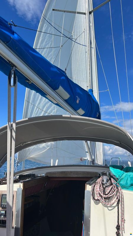 Sunwind 271