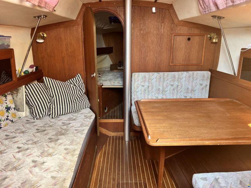 Sunwind 271