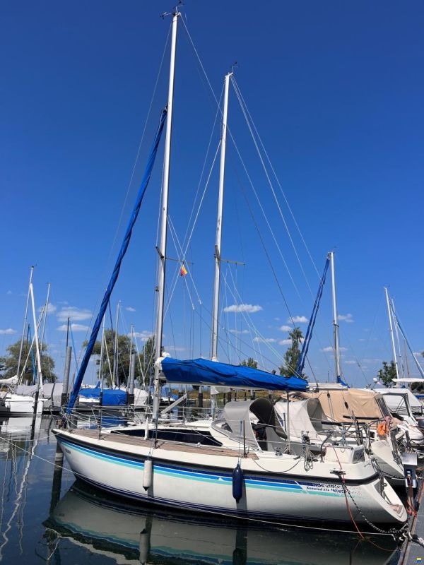 Sunwind 271
