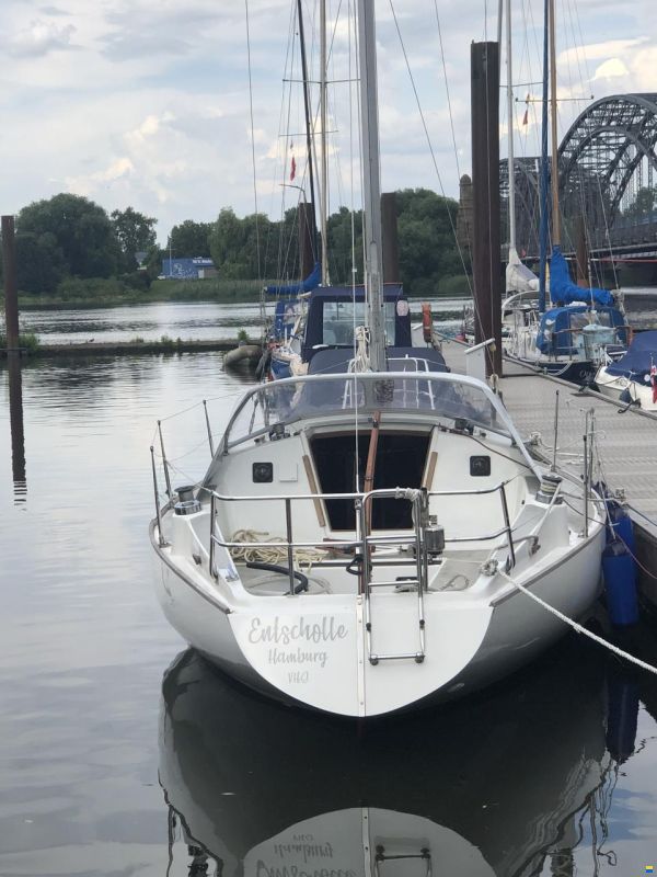 Scampi 30