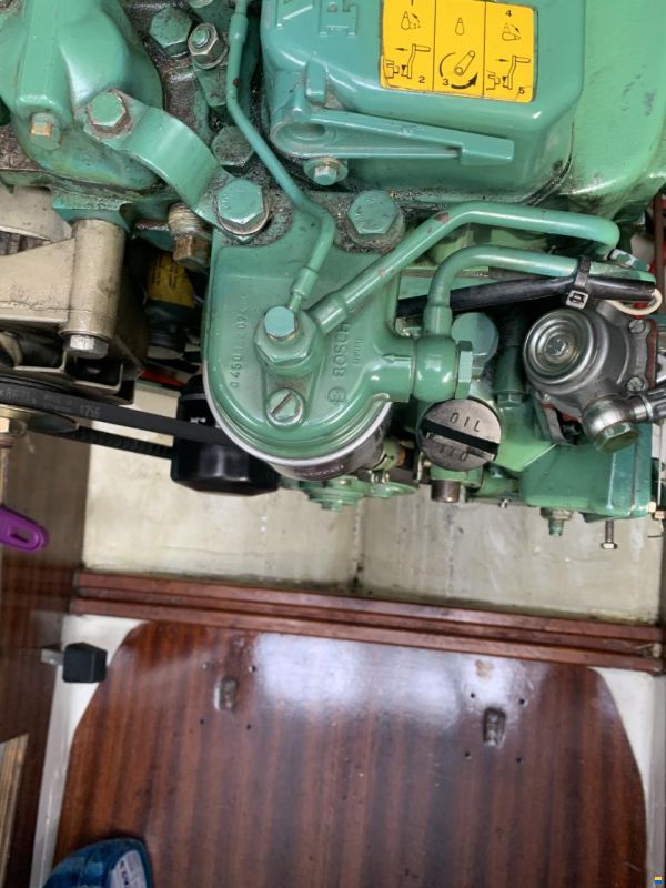 Scampi 30