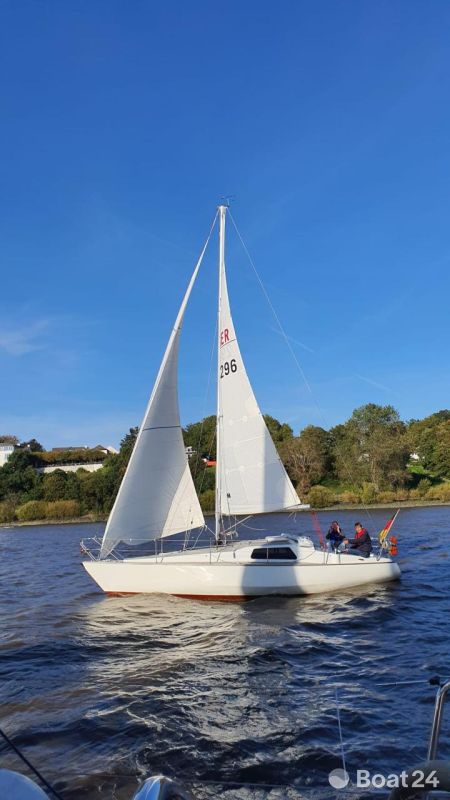 Scampi 30 von Peter Norlin gezeichnet