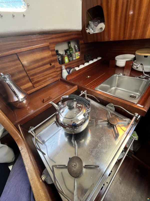 Scampi 30