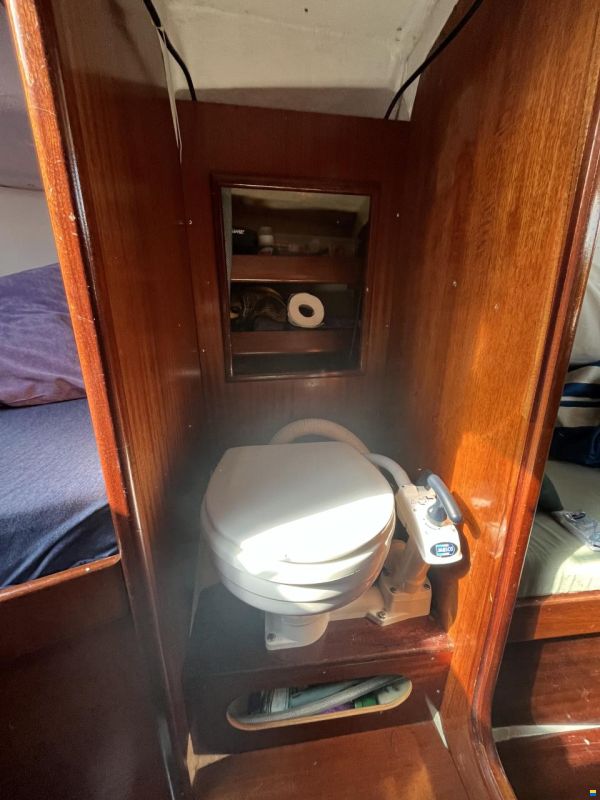 Scampi 30