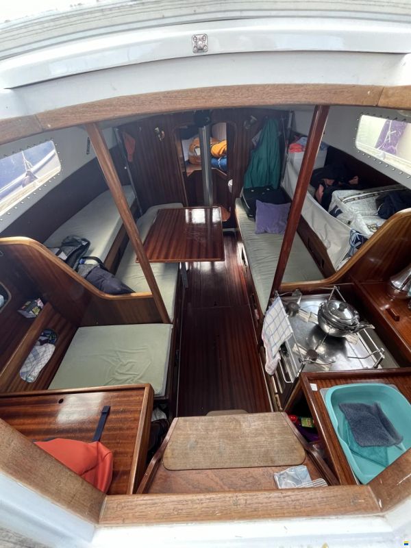 Scampi 30