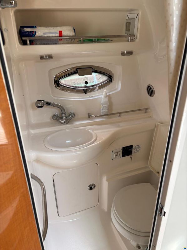 Chaparral 290