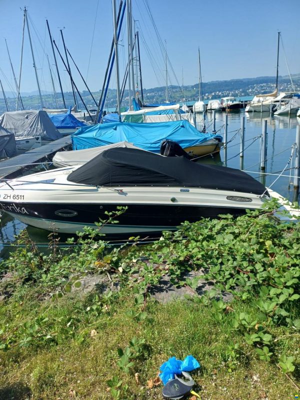 Bayliner 642