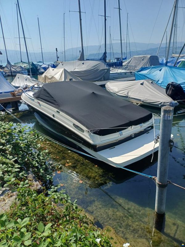 Bayliner 642