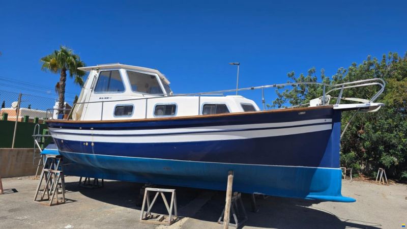 Majoni 42