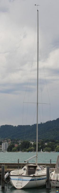 Moser M1