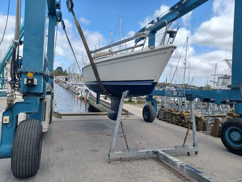 Maxi Fenix 28