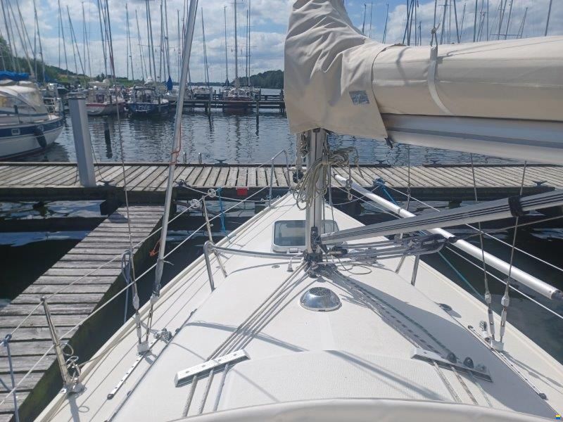 Maxi Fenix 28