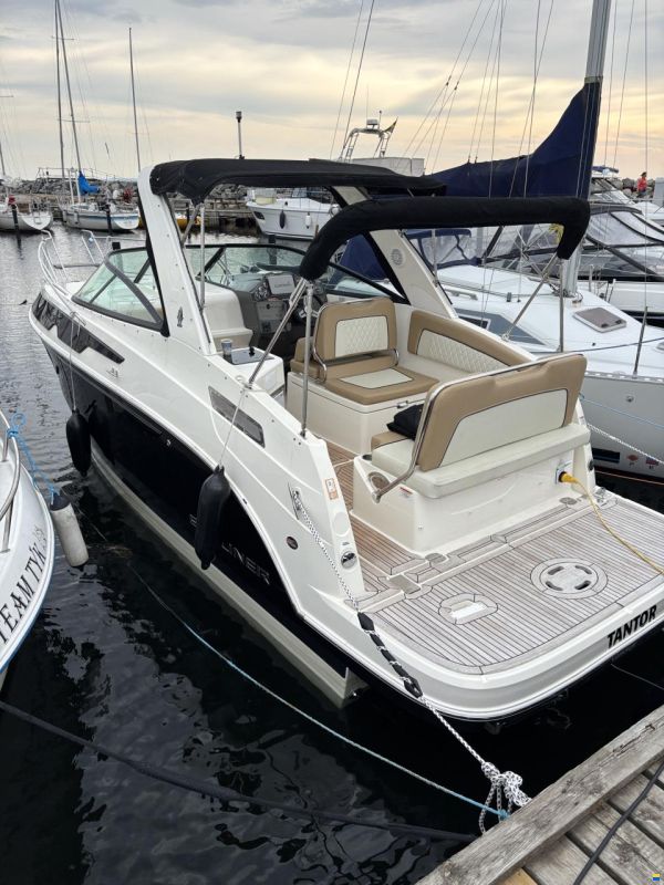 Bayliner Ciera 8